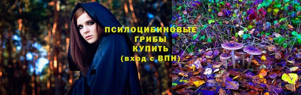 ешки Абаза