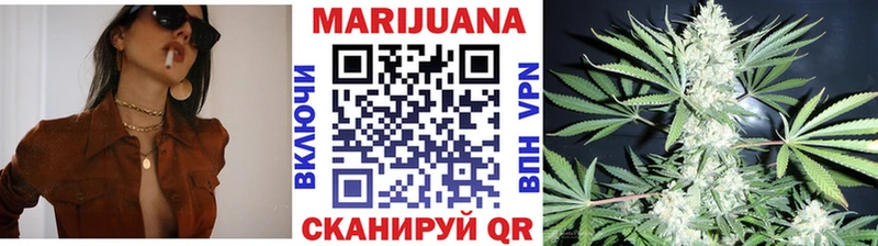 Конопля Bruce Banner  Ленинградская 